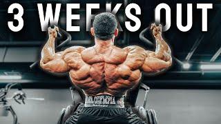 Mr. Olympia Back Workout | NEW GYM REVEAL