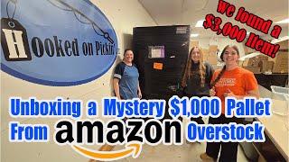 Unboxing A Mystery $1,000 Pallet From Amazon Overstock and Shelf Pulls! We found a $3,000 Item