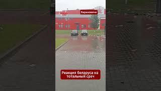 Беларус при виде мусора лишается дара речи #беларусь #мусор #срач #грязь #барановичи #коммунальщики