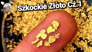 Szkockie Złoto Cz. 1