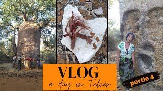 Excursion à Mangily (Madagascar) : dans la forêt des Baobabs - partie 4