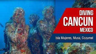 Scuba Diving in Cozumel and Cancun, Musa, La Isla Mujeres