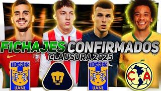 NUEVOS FICHAJES ¡TIGRES ROMPE el MERCADO: ANDRE SILVA e IDRISSI! ¡AME va por MARCELO! JURADO A PUMAS