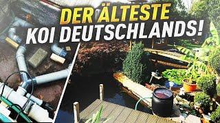 Der ÄLTESTE KOI Deutschlands? Besuch an einem 40.000l Teich!