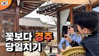 경주｜우당탕탕 경주 당일치기 뿌시기 | 맛집 여행지 가볼 만한 곳 추천코스 [UCC미누키]