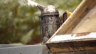 Apiculture, inspections périodiques des ruchers.