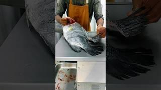 How to cut big sea fish cutting skills video giant fish cutting #reels #shorts #youtubeshorts