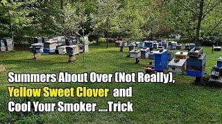 Summers Almost Over (Not Really), Yellow Sweet Clover and Cool Smoker Trick