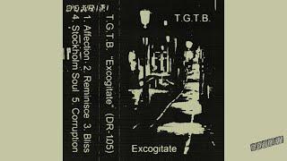 T.G.T.B. - Excogitate