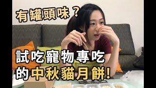 試吃寵物專吃的「中秋貓月餅」+咦?有罐頭味!?【比比BeBe】