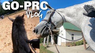 GO-PRO horse riding vlog! | Helmet cam view