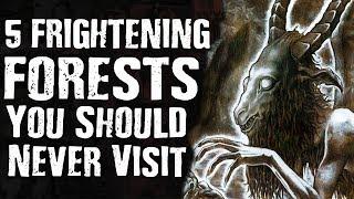 5 FRIGHTENING FORESTS You Should Never Visit