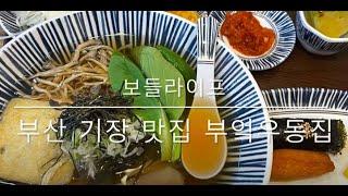 [보들라이프] 부산 기장 맛집 부엌우동집