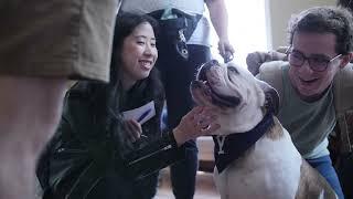 Yale School of Music: A Year in Images