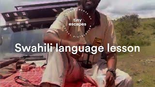 Learn Swahili with Kenyan Tour Director Musty | EF Go Ahead Tours