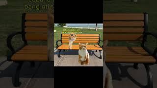 ketemu orang sedih di taman #memekucing #kucinglucu #funny