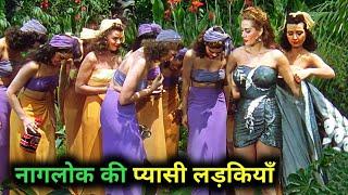 Cbra Womn Film Explained in Hindi/Urdu Summarized हिन्दी / Hollywood Movie In Hindi Explain