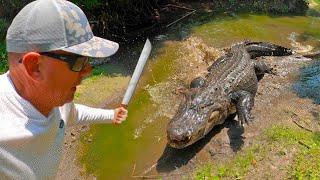 Camping and Trapping in Dangerous Territory! (Gators, Snakes, Swordfish and Steak)