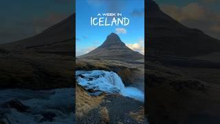THIS Happened in 1 Week in Iceland
