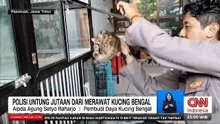 Polisi Untung Jutaan Dari Merawat Kucing Bengal | REDAKSI (27/06/24)