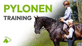 9 Dressur-Übungen mit Pylonen | Jeden Tag ein motiviertes Pferd | wehorse