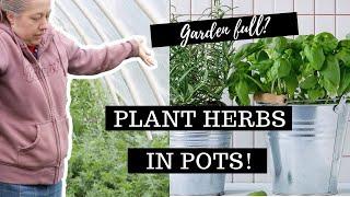 Tips & Tricks for Growing Herbs in Pots