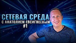 Сетевая среда с Анатолием Евсигнеевым I Ответы на ваши вопросы