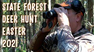 NSW State Forest Deer Hunting | On The Hunt For Fallow & Sambar