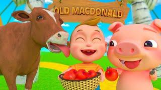 Baby & Old MacDonald Had A Farm Song | Happy Farm for Kids | Kids Song & Nursery Rhymes