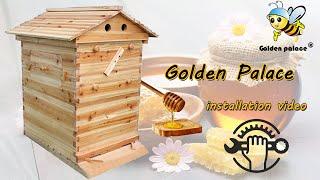 CH Golden palace Auto-flow hive assembly video 2023