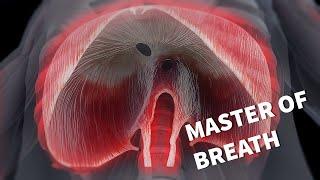 Breathing Life: The Power of the Diaphragm