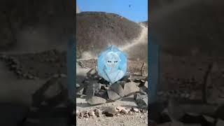 Xonqizi va abjir mushuk
