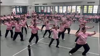 Yang Style Tai Chi 40 Form 楊式40式太極拳 - Shin Zhong Taijiquan Assn 2024 Graduation 新忠太极拳协会汇报