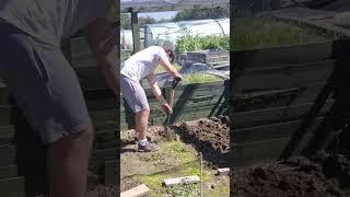 Cultivating: Done! - Alfie's Agriculture #allotment #gardening #uk #shorts #diy