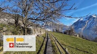 Panorama-Wanderweg  Bauen Richtung Seelisberg (Rütli) 2024 | Weg der Schweiz 