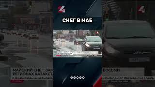 Майский снег ожидается в Казахстане #24kz #новости #казахстан