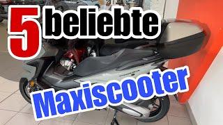 Die 5 beliebtesten Maxiroller! Roller oder Motorrad?  Was im Zweifel nehmen, wenn man kein PKW hat?