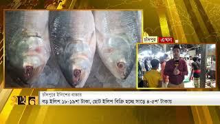 চাঁদপুরে কমেছে মাছের দাম | Hilsha Price | Chandpur News | Fish Market | Ekhon TV