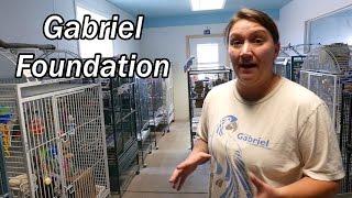 Tour of the Gabriel Foundation - Parrot Rescue, Welfare, and Sanctuary