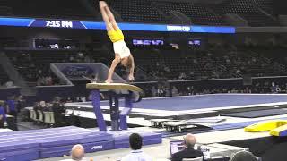 Paul Juda - Vault - 2022 Winter Cup - Senior Men Day 2