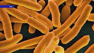 Local E. coli outbreak linked to 6 other states, St. Louis County Dept. of Public Health says