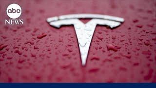 Tesla stock continues to fall as protesters target dealerships