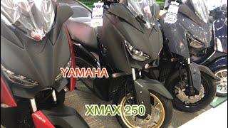 3YAMAHA  Xmax 250. Japan. Price. Red, Black & Grey. 2020-21.