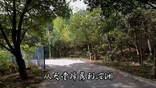 #热门 #乡间小路自然风景 #林荫小道