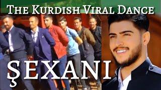 Bringing SEXANI back! The Hotstepper moves of a Kurdish Dance Version.