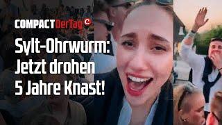 Sylt-Ohrwurm: Jetzt drohen 5 Jahre Knast!