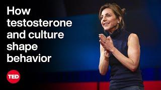 How Testosterone and Culture Shape Behavior | Carole K. Hooven | TED