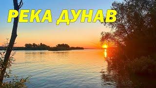 ШАРАНИ на ДУНАВА - МОНТАЖИ и РИБОЛОВ с ФИДЕР