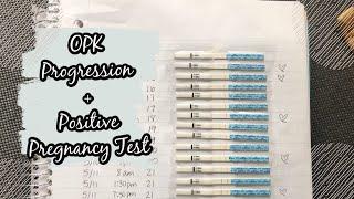 OPK Progression + Positive Pregnancy Test // Irregular Cycles