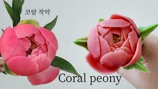 코랄 작약 앙금플라워 꽃파이핑 Coral peony flower piping techniques